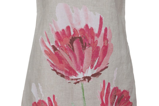 SOLAR_SS13_ZA023293_p