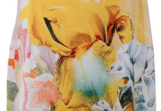 SOLAR_SS13_ZA023393_p-2013-015