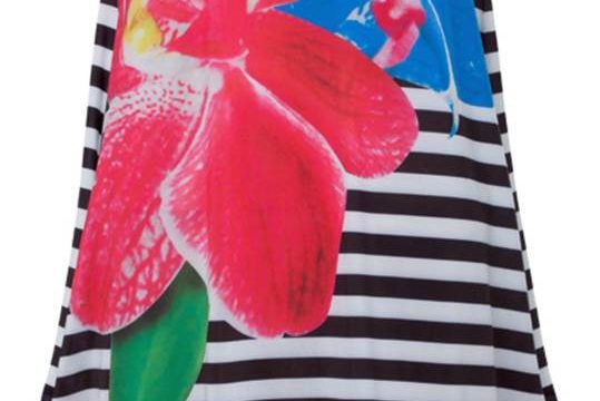 SOLAR_SS13_ZA_IMG_2825-2013-021